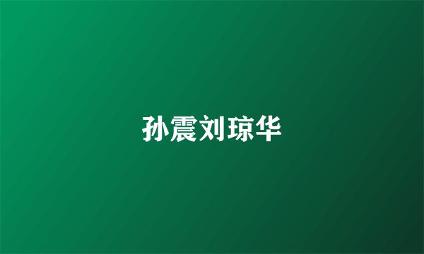 孙震刘琼华