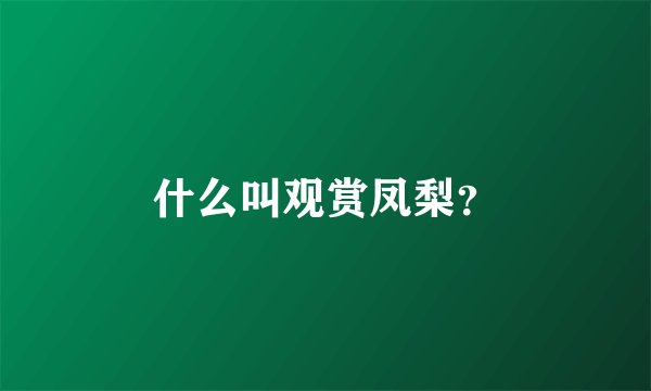 什么叫观赏凤梨？