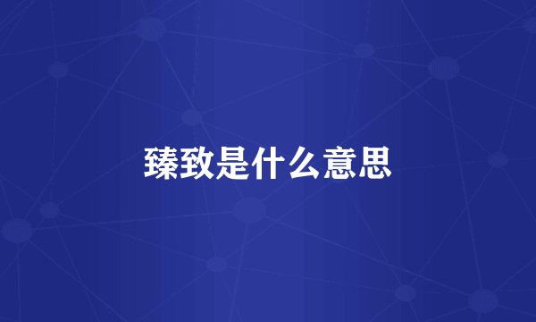臻致是什么意思