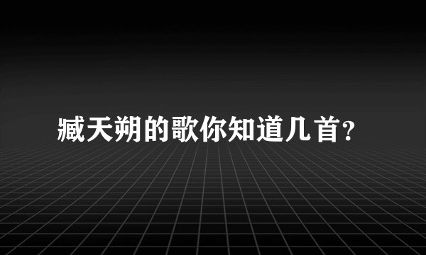 臧天朔的歌你知道几首？