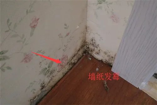 集成墙生产厂家有哪些 集成墙面的优缺点分析