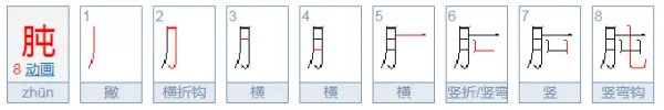 肫怎么读音是什么