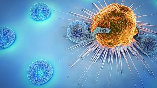 来月经可以接种新冠疫苗吗?新冠疫苗接种禁忌症有哪些?