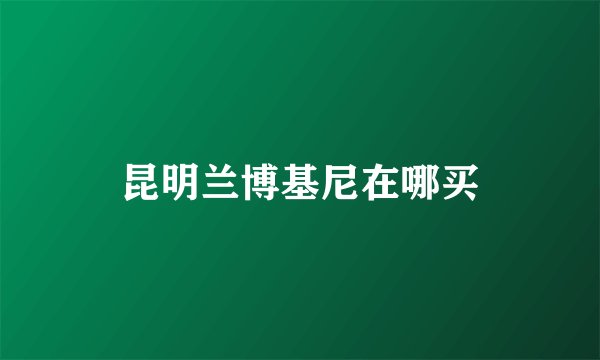 昆明兰博基尼在哪买