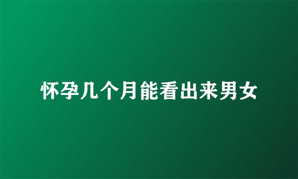 怀孕几个月能看出来男女