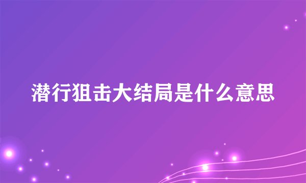 潜行狙击大结局是什么意思
