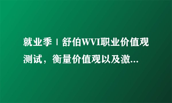 就业季|舒伯WVI职业价值观测试,衡量价值观以及激励人们工作目标