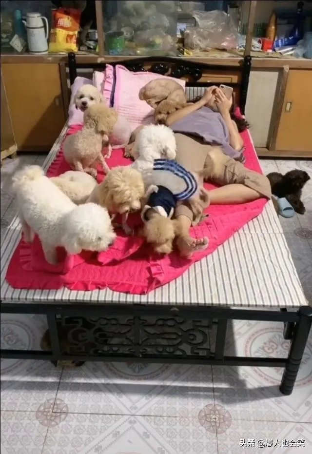 有女人说狗是她的伴侣,狗比人忠诚,比养熊孩子好,你怎么看?