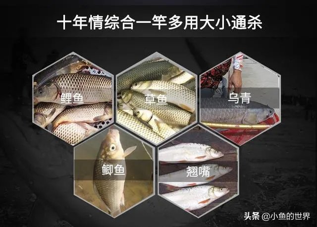 求推荐一款7.2米的野钓正28调鱼竿,平民玩家,价格不要太高?