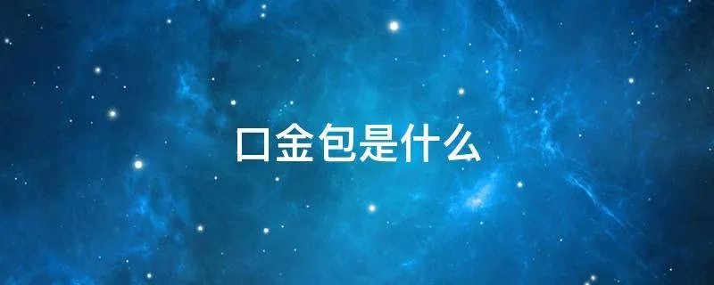 口金包是什么