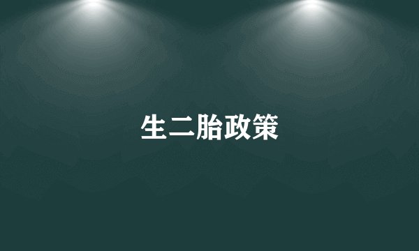 生二胎政策