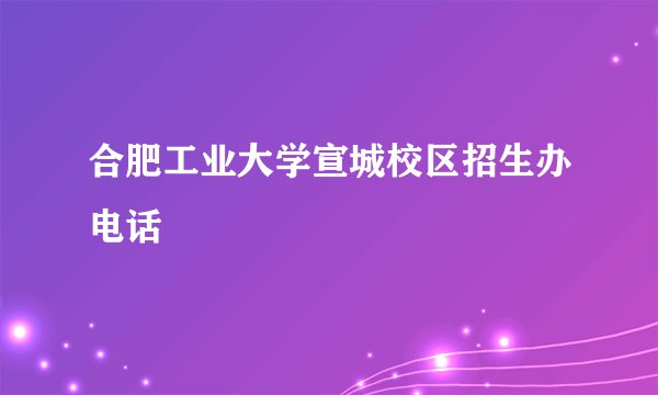 合肥工业大学宣城校区招生办电话
