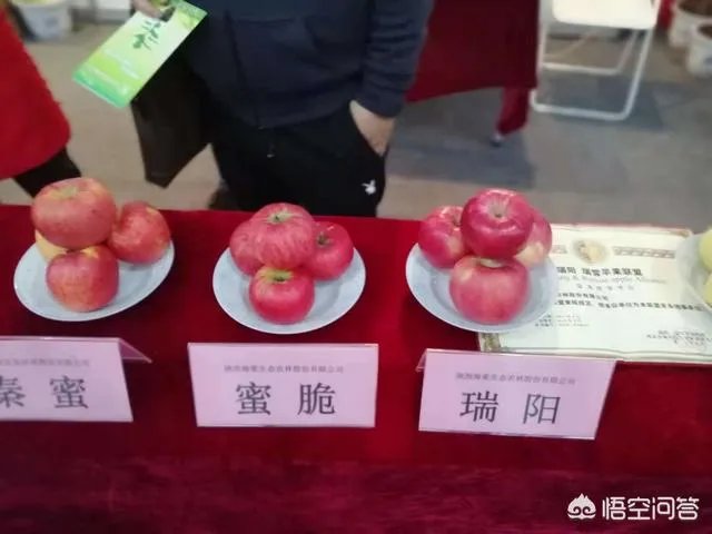 杨凌农高会有哪些新品种？