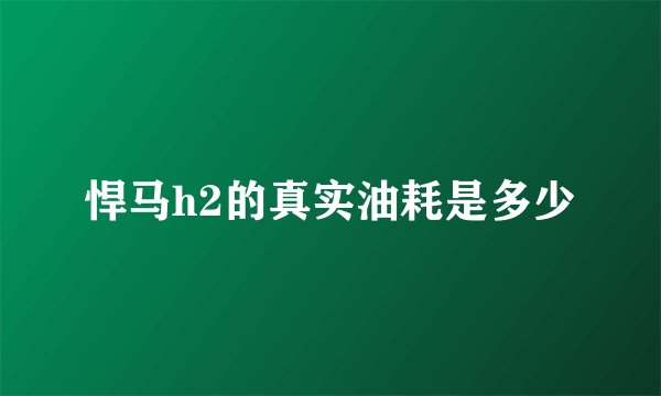 悍马h2的真实油耗是多少