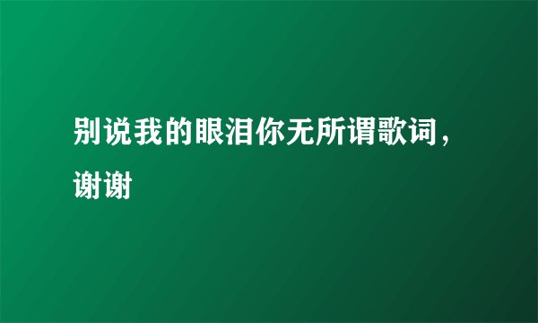 别说我的眼泪你无所谓歌词,谢谢