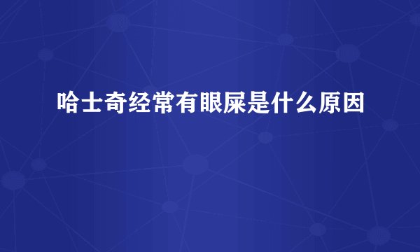 哈士奇经常有眼屎是什么原因