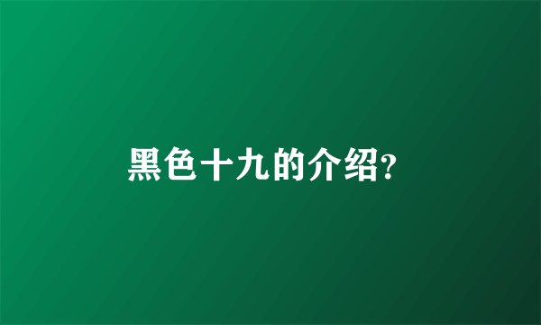 黑色十九的介绍？