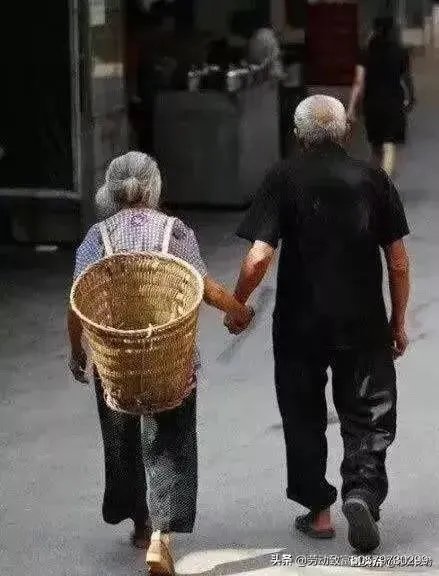 儿媳应该给婆婆养老吗?