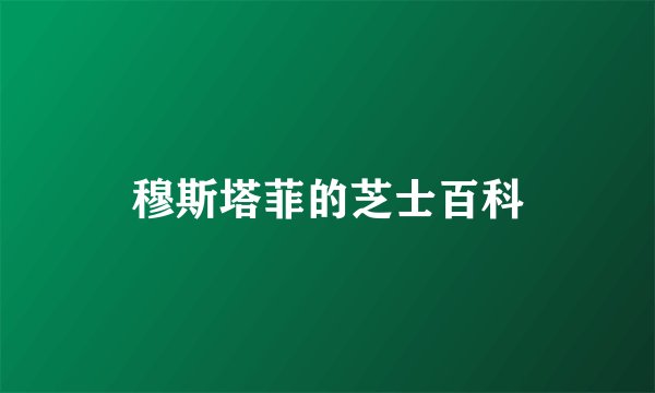 穆斯塔菲的芝士百科
