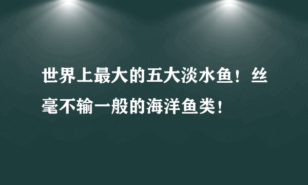 世界上最大的五大淡水鱼!丝毫不输一般的海洋鱼类!
