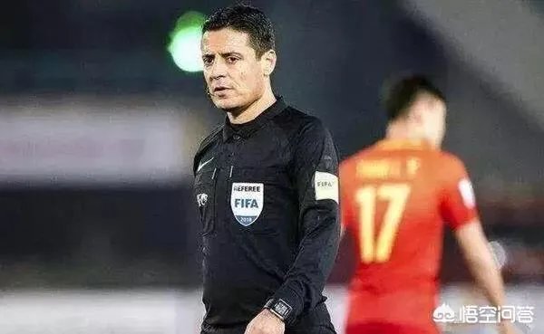 法加尼和德国