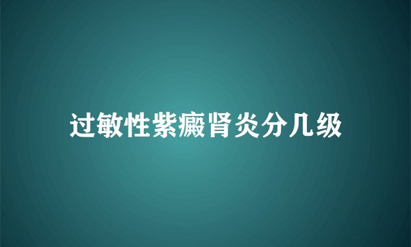 过敏性紫癜肾炎分几级