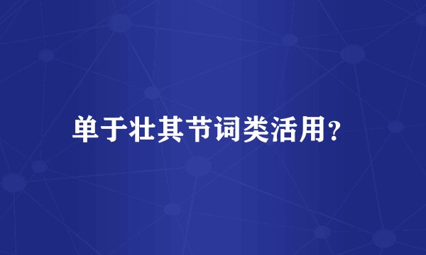 单于壮其节词类活用？