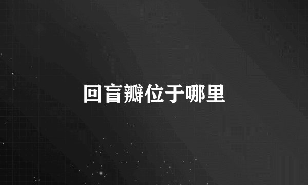 回盲瓣位于哪里