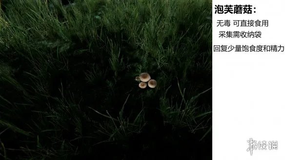 《森林》游戏植物有什么 the forest植物图鉴分享