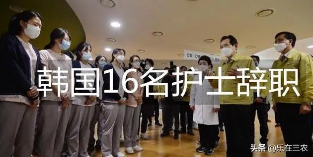 韩国新冠定点医院16名护士辞职,理由是没时间看孩子,你怎么看这事?