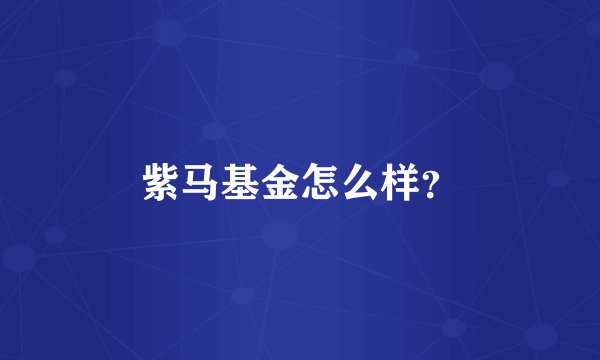 紫马基金怎么样？