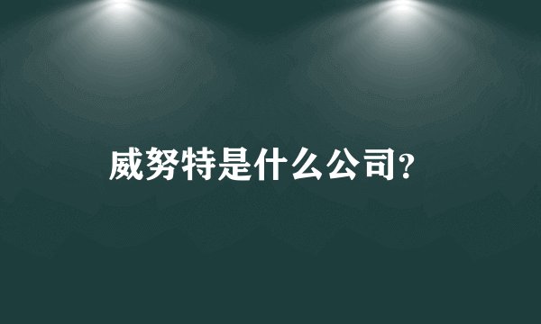 威努特是什么公司？