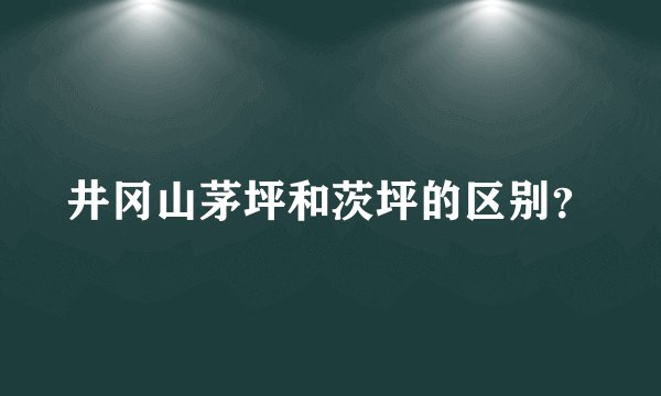 井冈山茅坪和茨坪的区别?