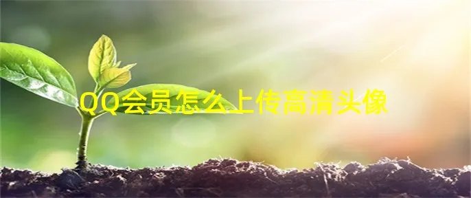 QQ会员怎么上传高清头像