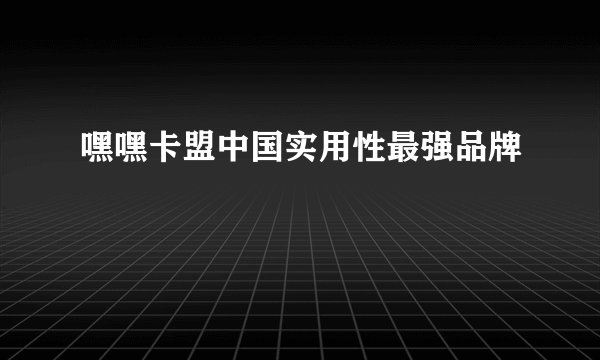 嘿嘿卡盟中国实用性最强品牌