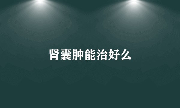 肾囊肿能治好么