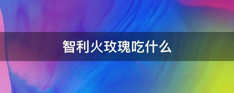 智利火玫瑰吃什么