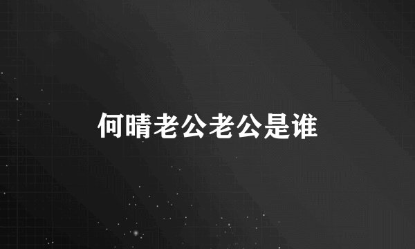 何晴老公老公是谁