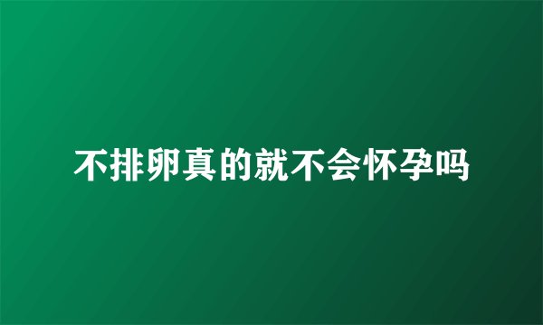 不排卵真的就不会怀孕吗