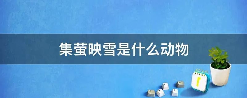 集萤映雪是什么动物