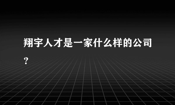 翔宇人才是一家什么样的公司？