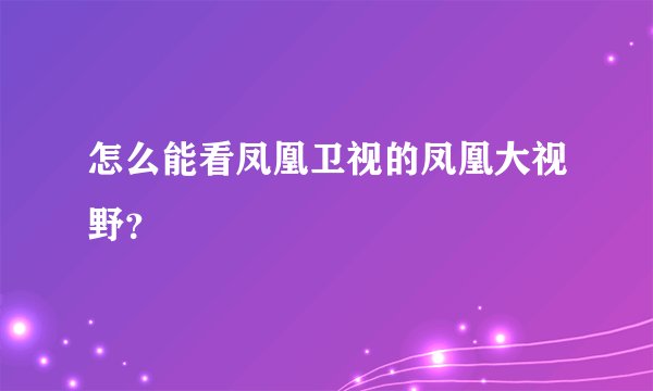 怎么能看凤凰卫视的凤凰大视野？