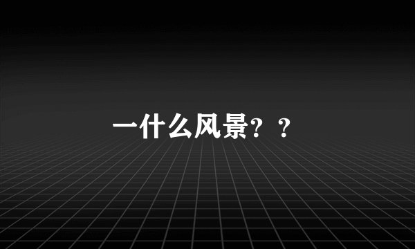 一什么风景？？