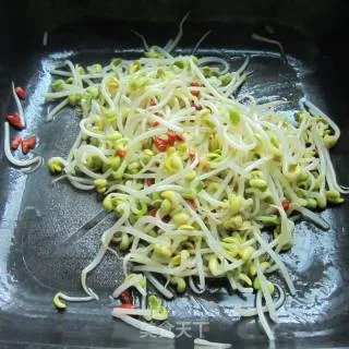 素炒豆芽菜