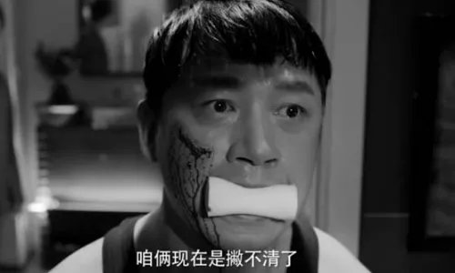 白夜追凶结局是什么意思?