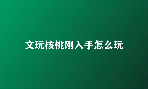 文玩核桃刚入手怎么玩