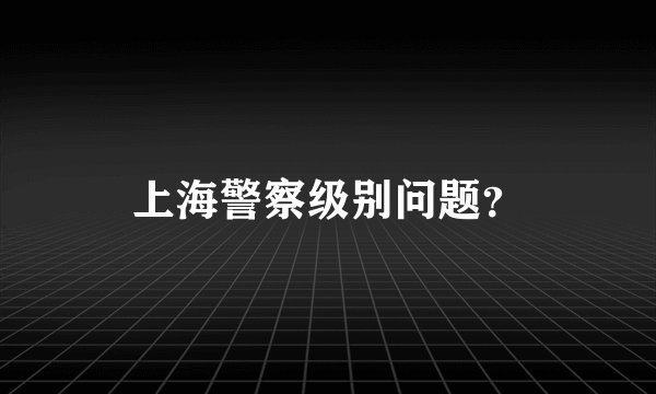 上海警察级别问题？