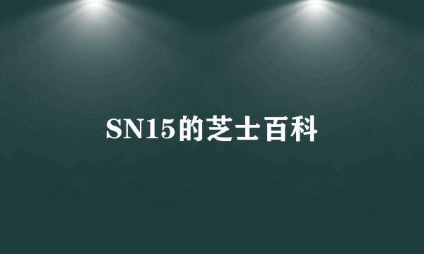 SN15的芝士百科