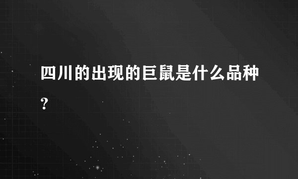 四川的出现的巨鼠是什么品种？