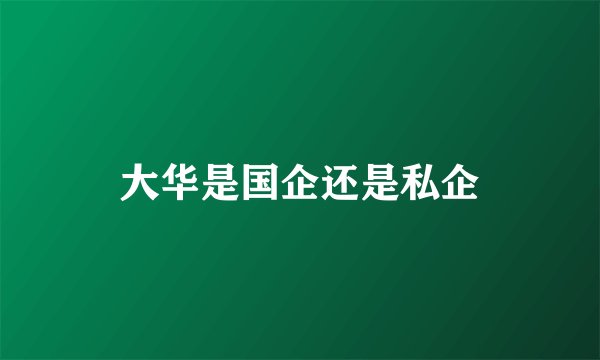 大华是国企还是私企